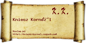 Kniesz Kornél névjegykártya